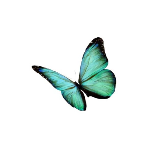 Meet your Posher, Jenniffer - Picture 1 of 1